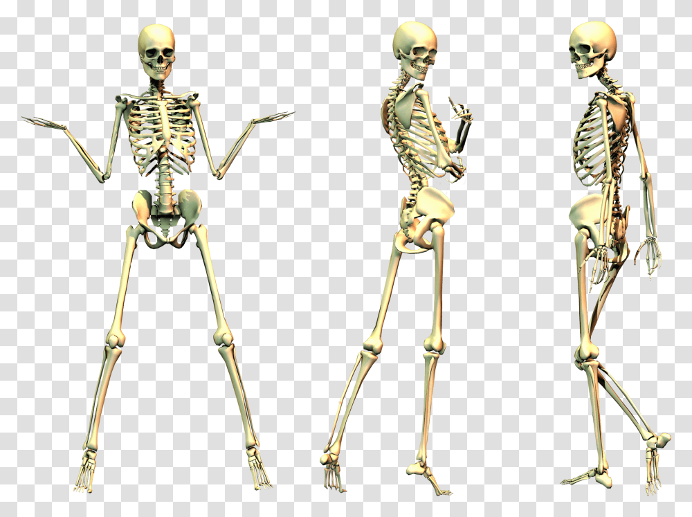 Human Skeleton Bone Spooky Skeleton No Background, Person, Helmet, Apparel Transparent Png