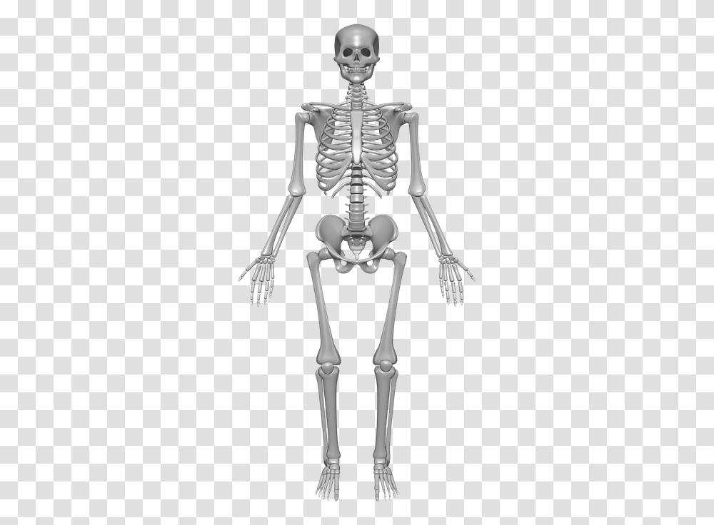Human Skeleton Bones Skull Skeletal System, Sword, Blade, Weapon, Weaponry Transparent Png