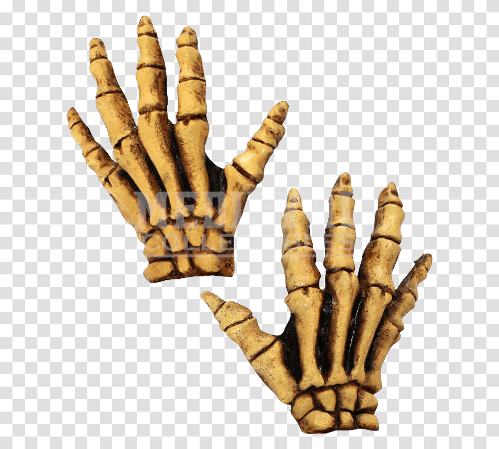 Human Skeleton Glove Costume Bone Latex Skeleton Gloves, Hand, Hook, Chess, Game Transparent Png