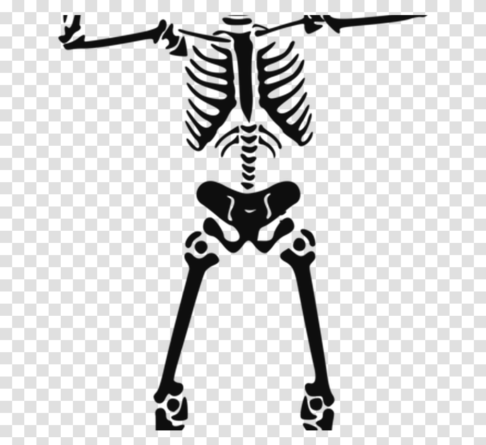 Human Skeleton Skull Anatomy Human Body Free Commercial Skeleton Clipart Black And White Transparent Png