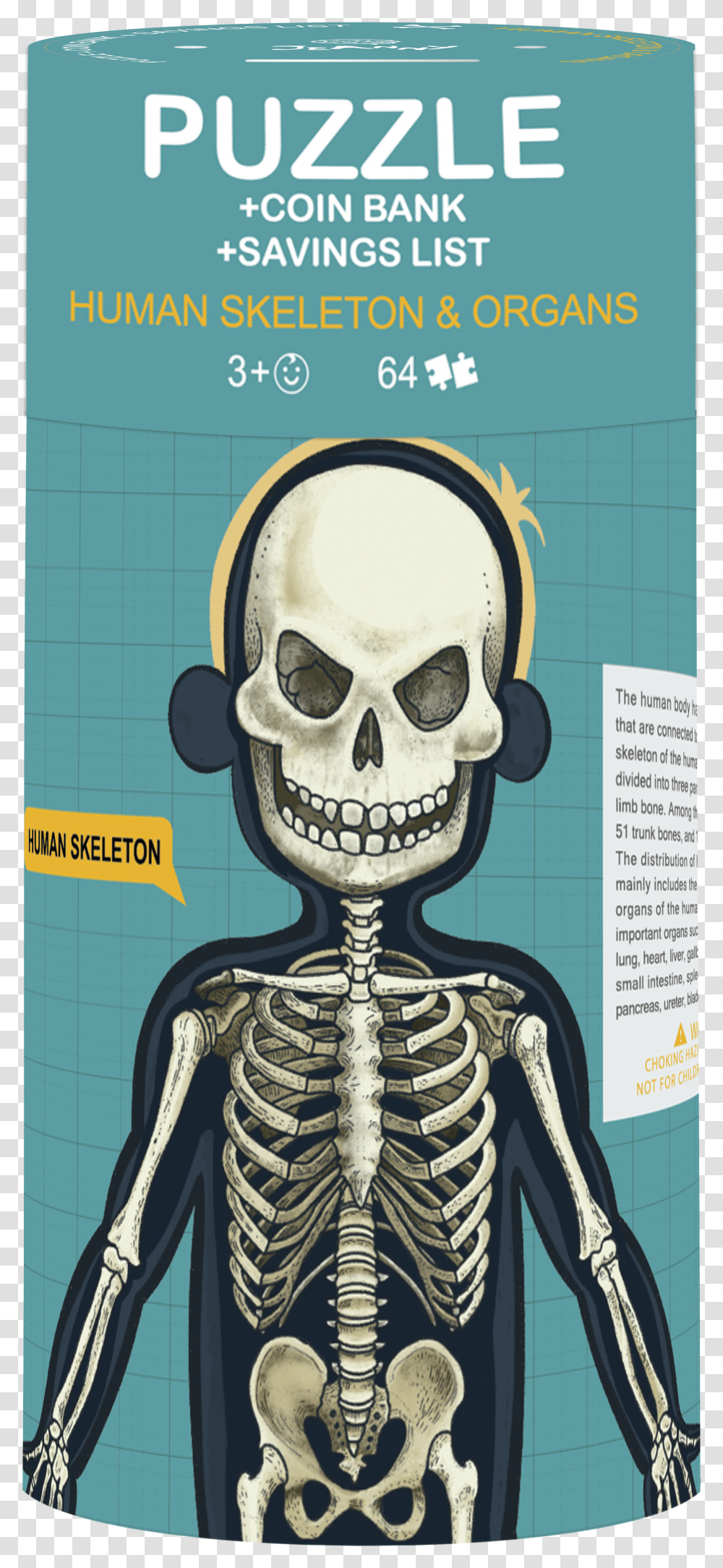 Human Skeleton Transparent Png