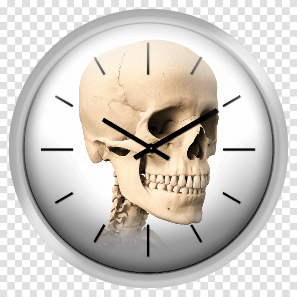 Human Skull Artwork Human Skull Side View, Wall Clock, Analog Clock, Clock Tower, Architecture Transparent Png