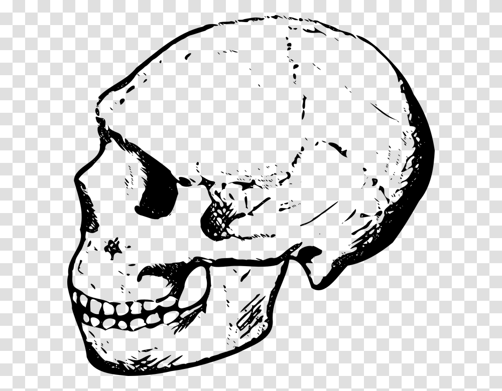 Human Skull Clipart Black And White, Gray, World Of Warcraft Transparent Png