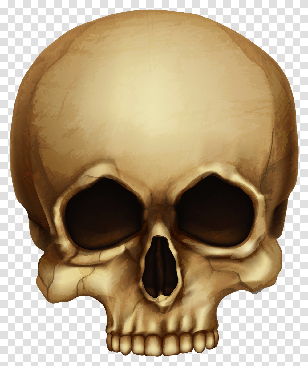 Human Skull Clipart Halloween Skull Transparent Png