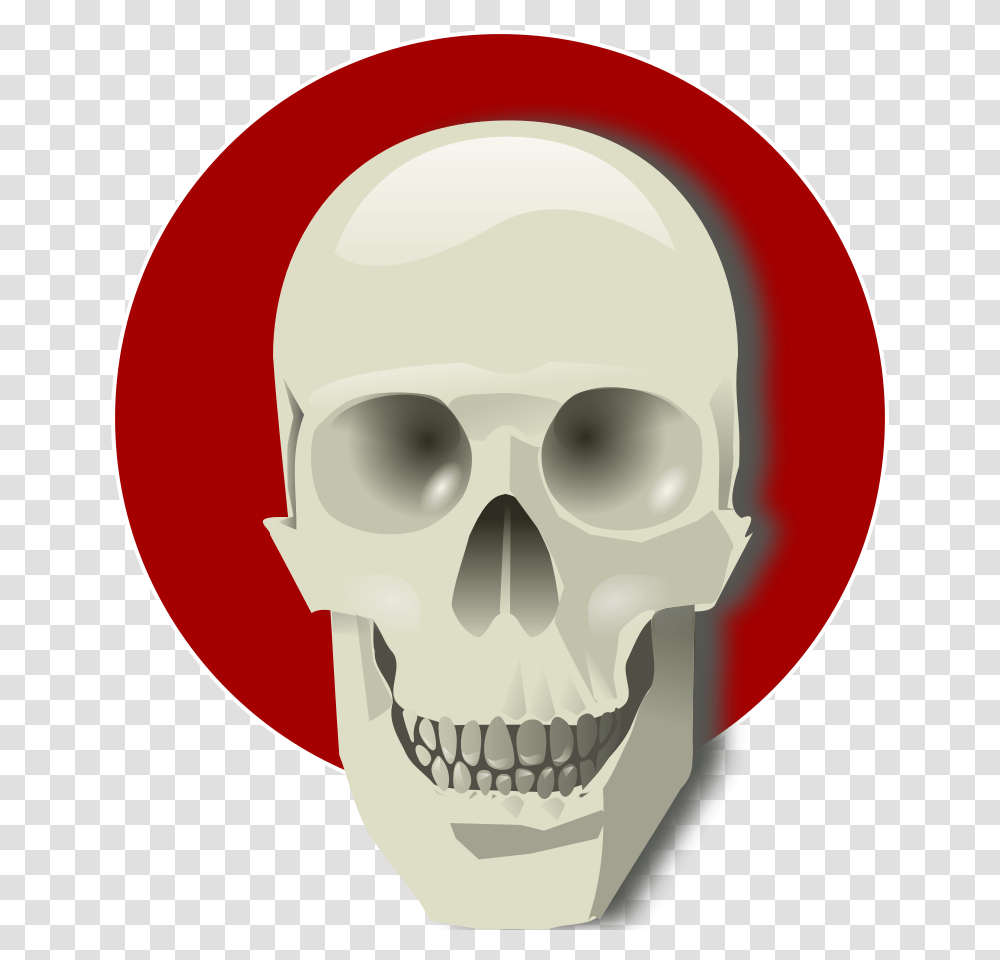 Human Skull Clipart Vector Clip Art Online Royalty Free Design, Head, Jaw, Teeth, Mouth Transparent Png