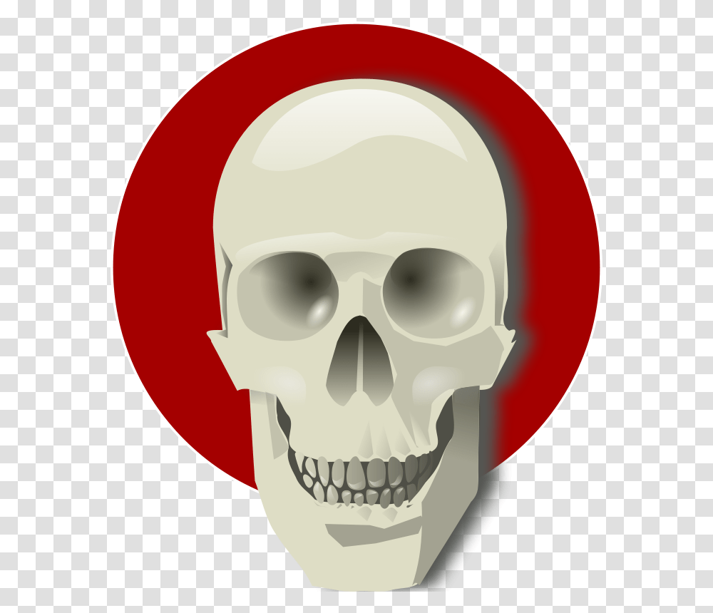 Human Skull Gif In Live, Jaw, Head, Teeth, Mouth Transparent Png