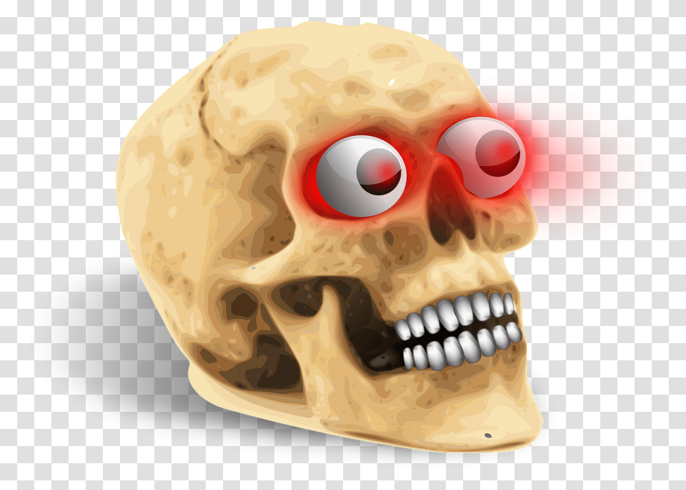 Human Skull, Jaw, Teeth, Mouth, Lip Transparent Png