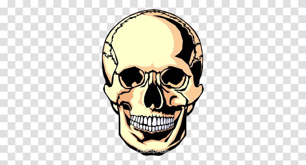 Human Skull Royalty Free Vector Clip Art Illustration, Head, Jaw, Face, Helmet Transparent Png