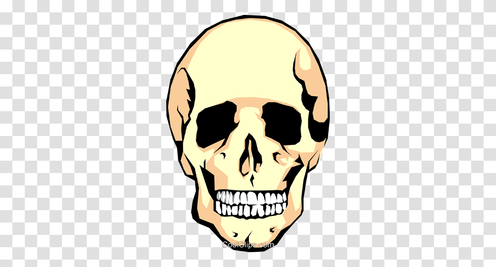 Human Skull Royalty Free Vector Clip Art Illustration, Head, Teeth, Mouth, Hand Transparent Png