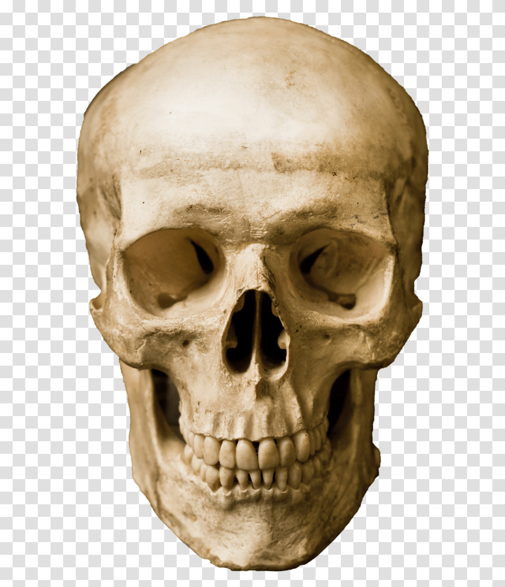 Human Skull Stock Photography Robot Real Human Skeleton In Robat Body, Head, Soil, Jaw, Teeth Transparent Png