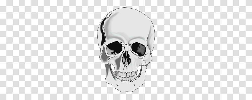 Human Skull Symbolism Human Skeleton Bone, Helmet, Pillow, Cushion Transparent Png