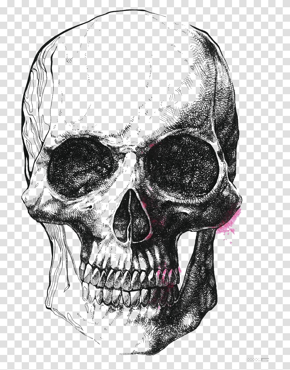 Human Skull Symbolism Illustration Black And White Sketch, Alien, Skeleton, Person, X-Ray Transparent Png