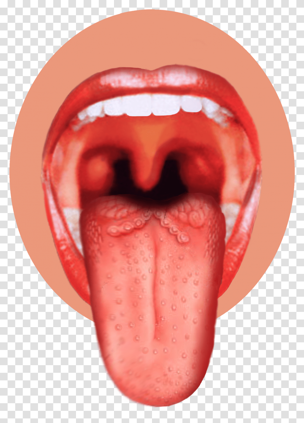 Human Tongue Image Taste Buds On Tongue, Mouth, Lip Transparent Png