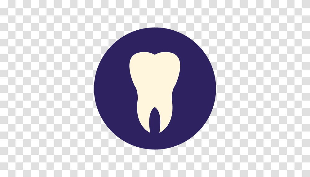 Human Tooth Flat Icon, Moon, Light, Plant, Lightbulb Transparent Png