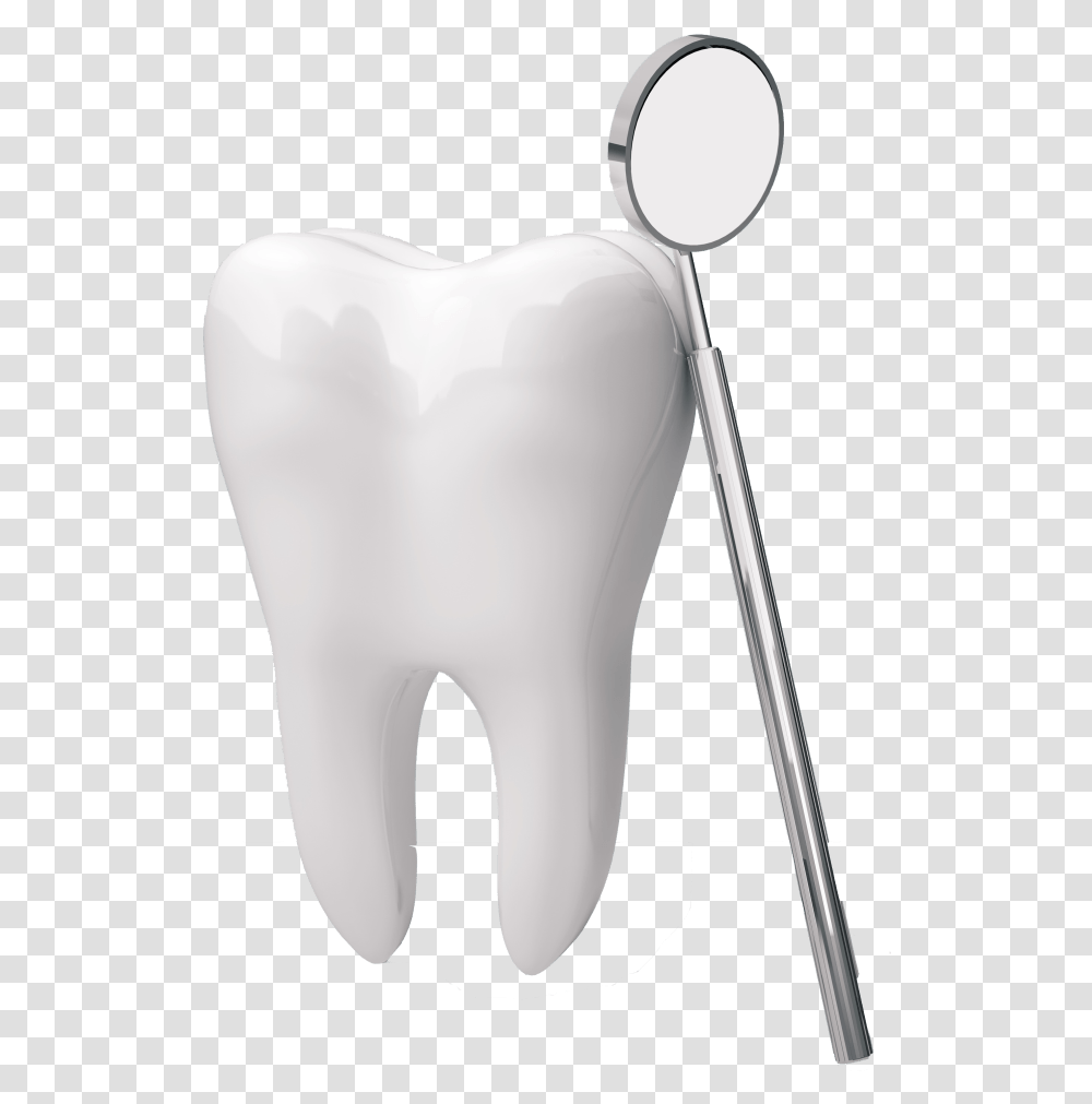 Human Tooth The Center For Family Amp Cosmetic Dentistry Dental Teeth, Mammal, Animal, Cushion Transparent Png