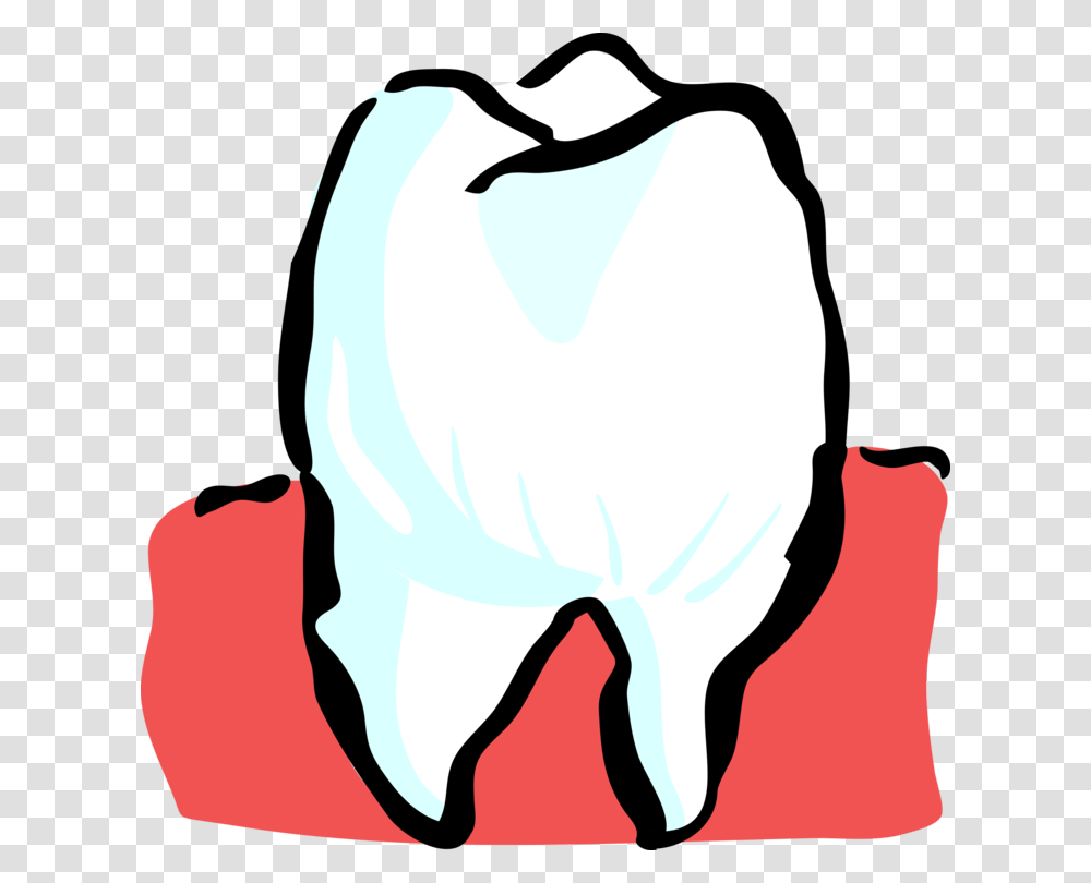 Human Tooth Tooth Brushing Dentistry Deciduous Teeth Free, Bag, Animal, Sack, Mammal Transparent Png
