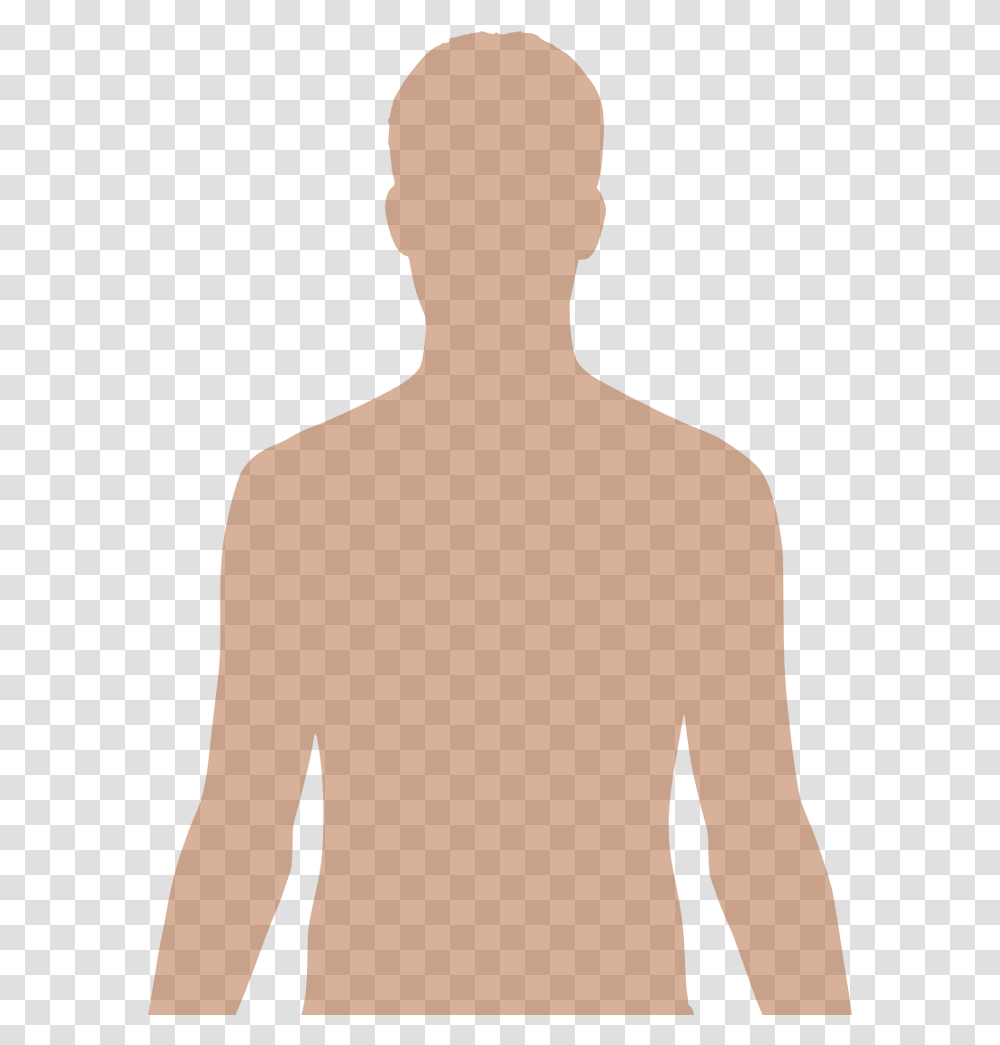 Human Upper Body Silhouette, Back, Person, Plot, Neck Transparent Png