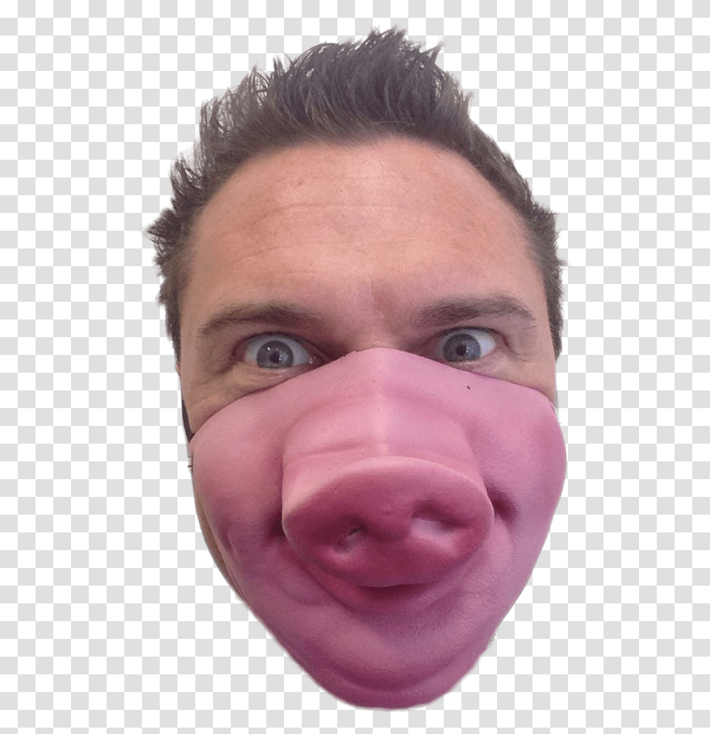 Human With Pig Face Pig Face Mask, Head, Person, Jaw, Glasses Transparent Png