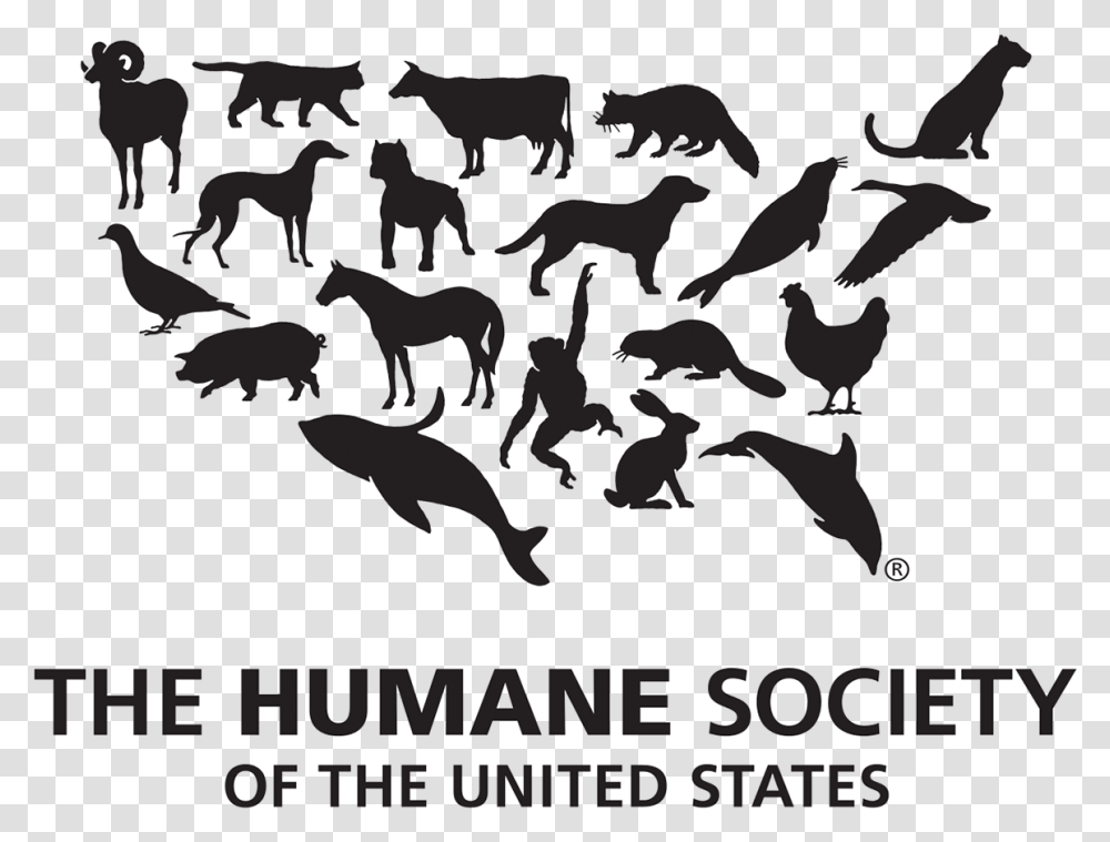 Humane Society Of The United States, Poster, Advertisement, Military, Military Uniform Transparent Png