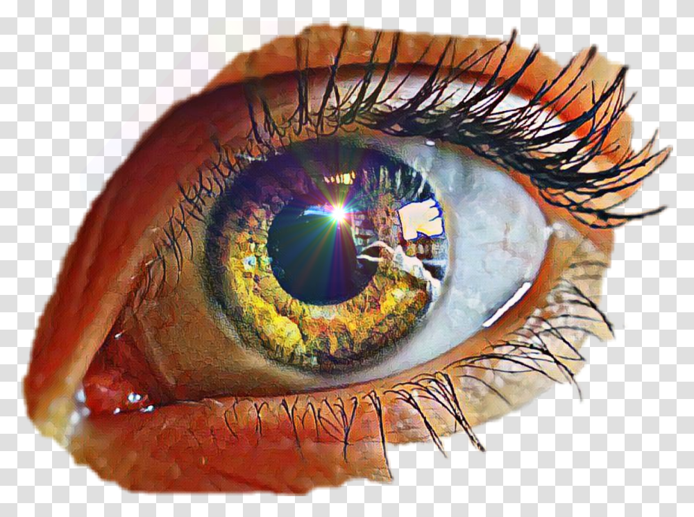 Humaneye Close Up, Modern Art, Painting, Drawing Transparent Png