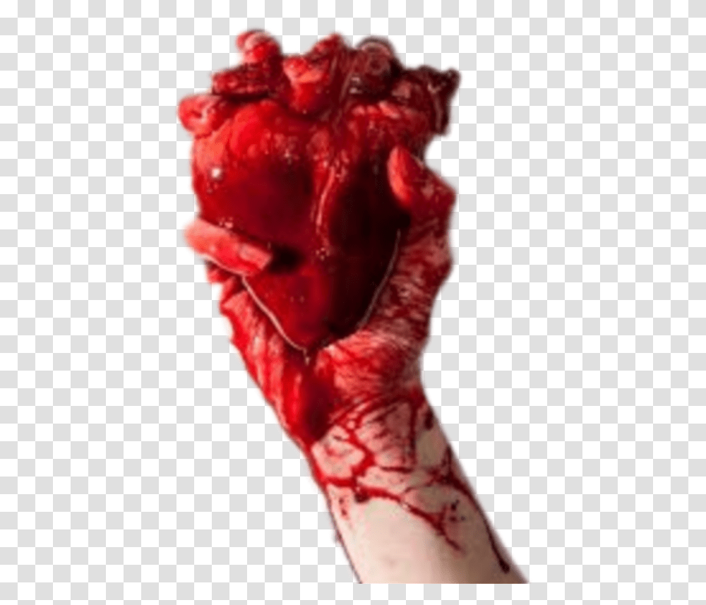 Humanheart Hand Handholding Blood Heart Hand Holding Real Heart, Flower, Plant, Blossom, Person Transparent Png