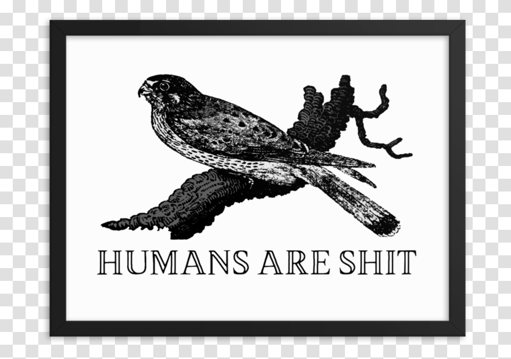 Humans Are Shit FramedSrcset Data Humans Are Shit, Bird, Animal, Eagle, Hawk Transparent Png