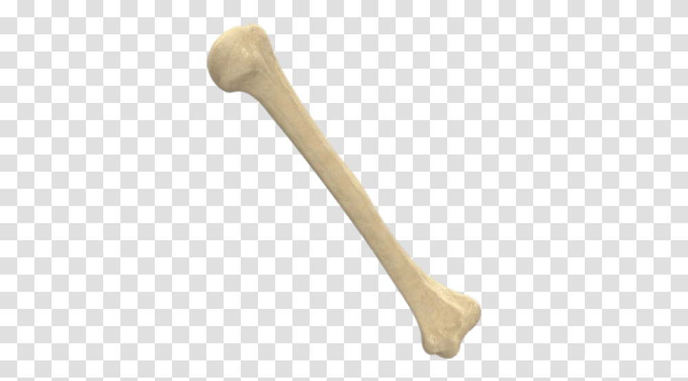 Humerus Bone, Axe, Tool, Cutlery, Spoon Transparent Png