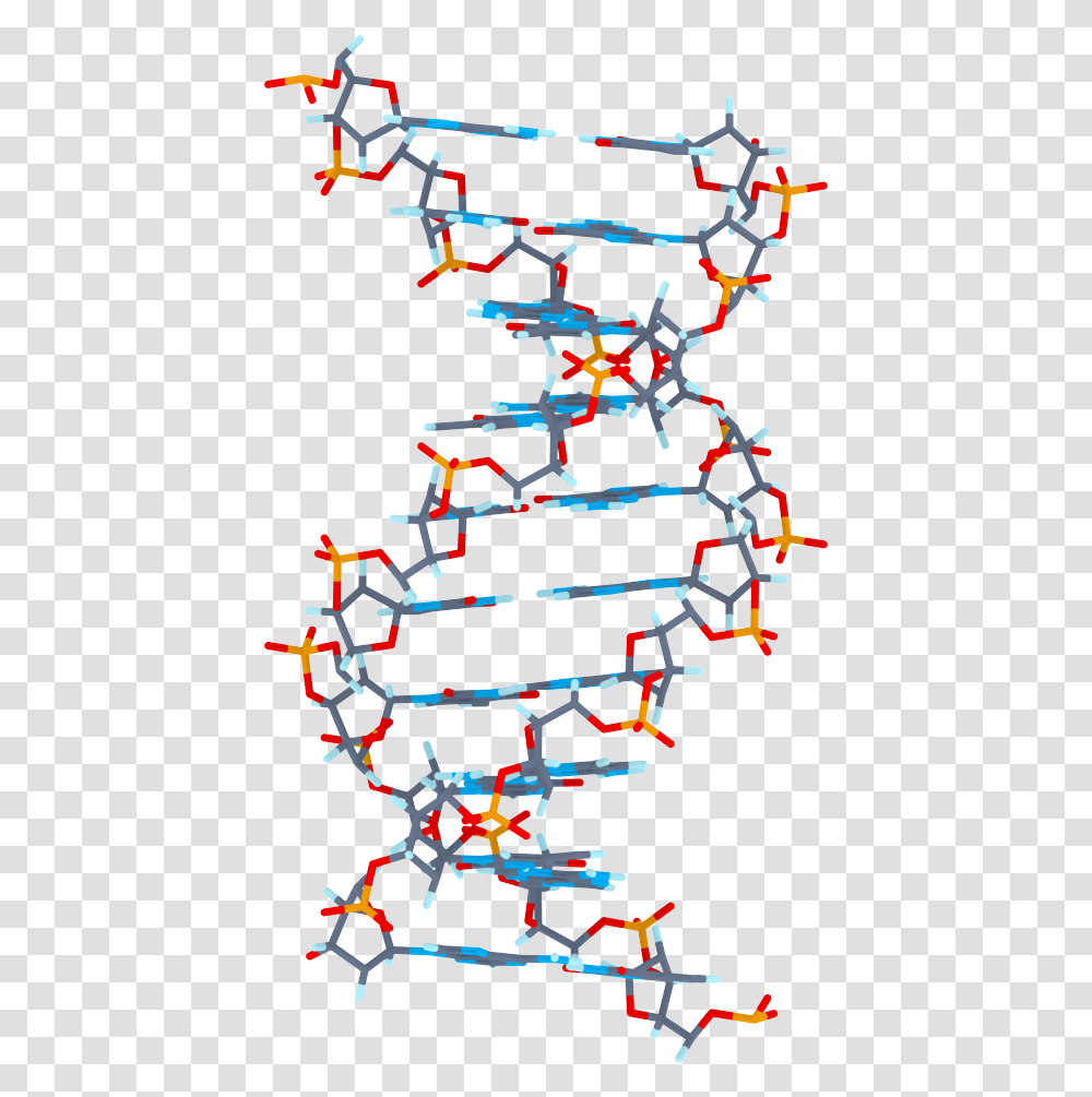 Humman Dna Image, Paper, Confetti, Airplane Transparent Png