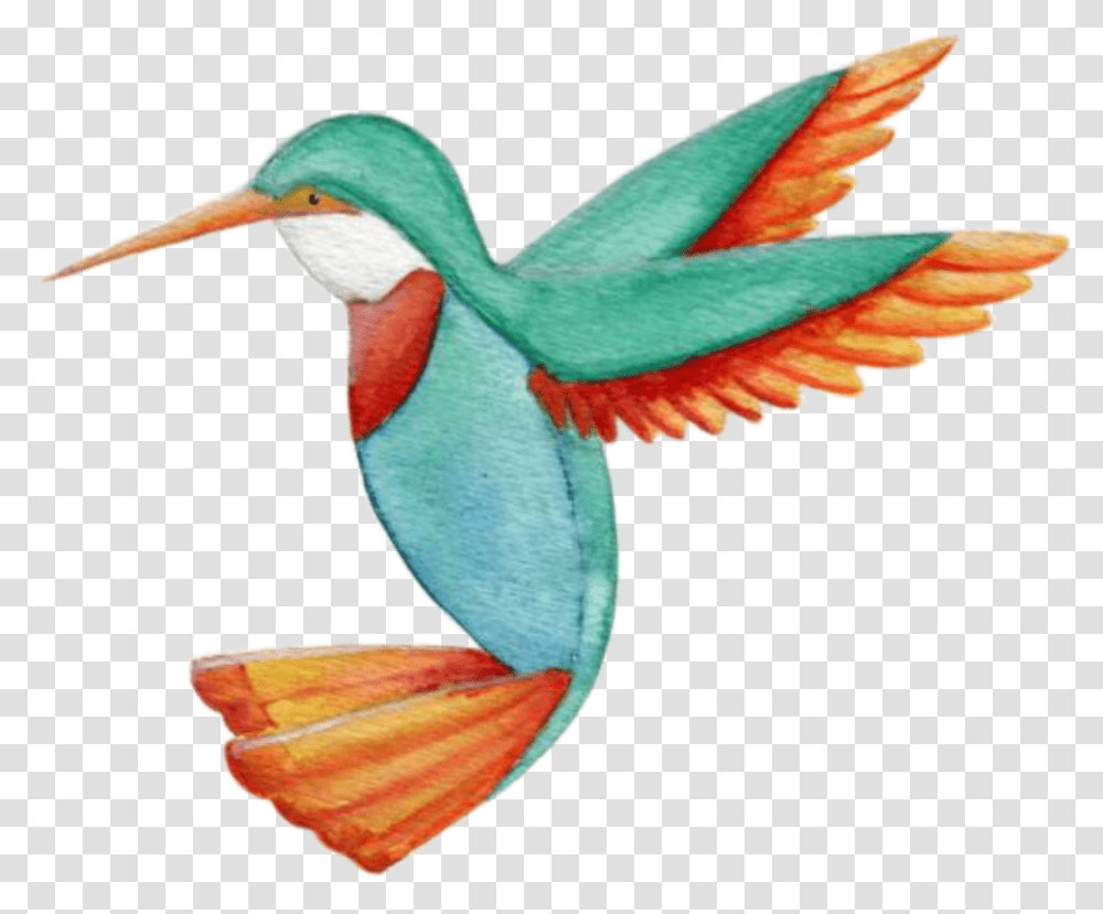 Humming Bird Books Hummingbird, Bee Eater, Animal, Bluebird, Flying Transparent Png