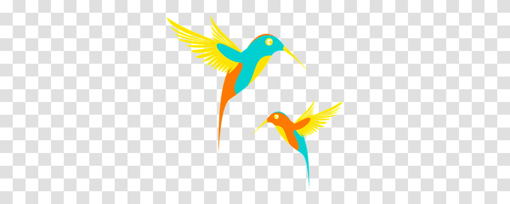 Hummingbird Animals, Bee Eater, Flying, Beak Transparent Png