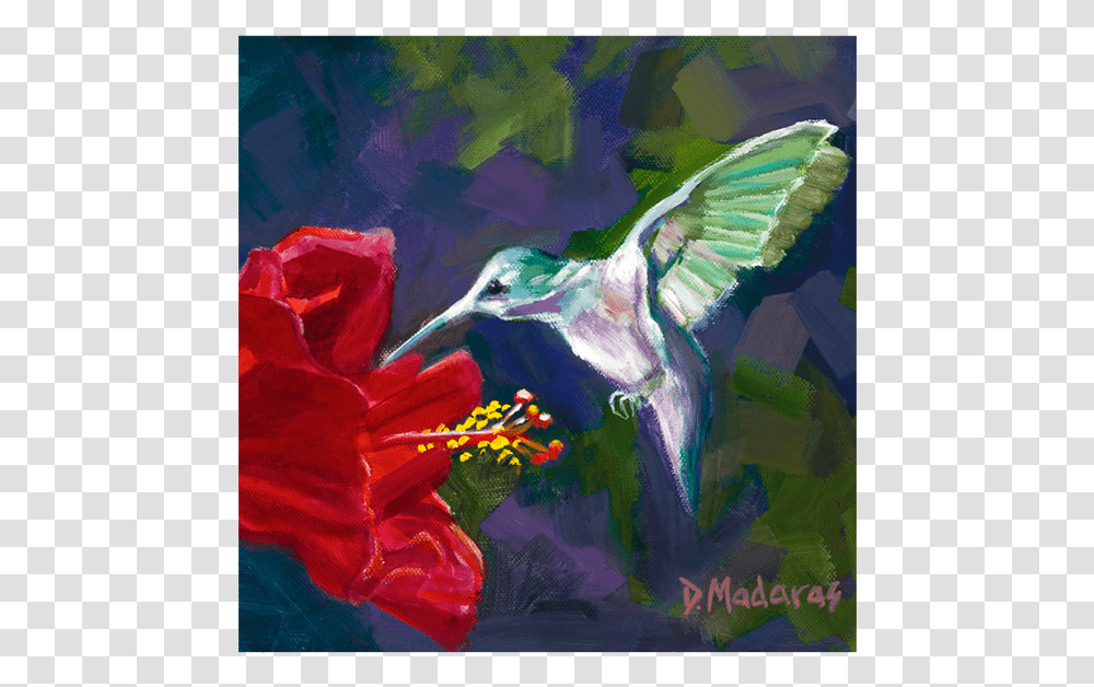 Hummingbird Amp The Hibiscus, Painting, Modern Art, Animal Transparent Png
