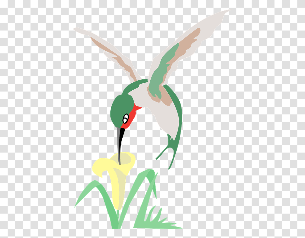 Hummingbird And Flower Clipart, Animal, Bee Eater, Beak Transparent Png