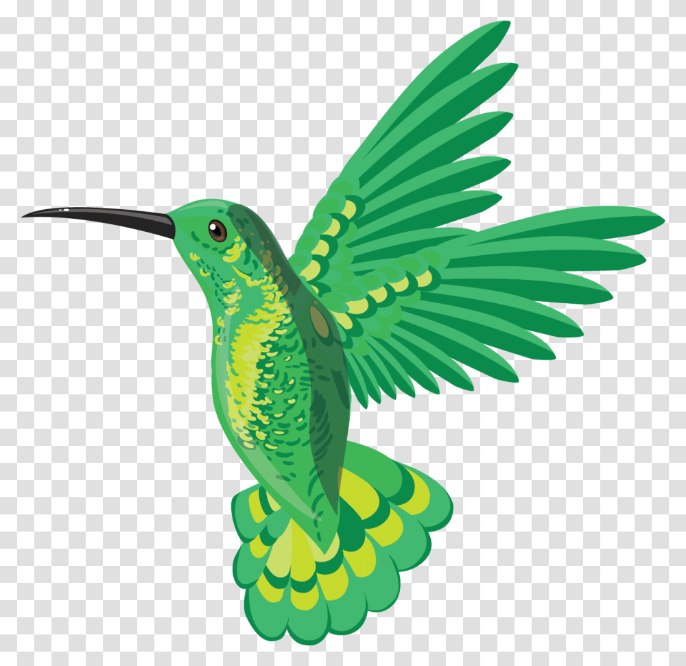 Hummingbird, Animal, Bee Eater Transparent Png