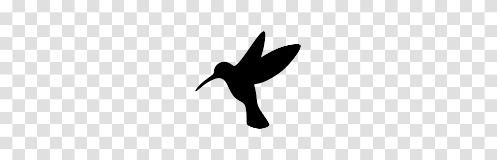 Hummingbird, Animals, Antelope, Wildlife, Mammal Transparent Png