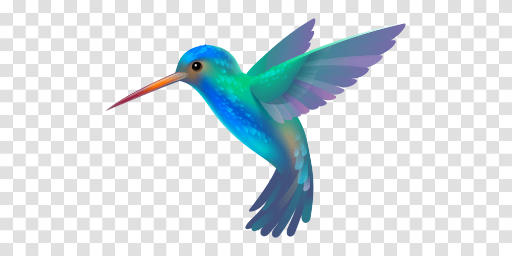 Hummingbird, Animals, Bee Eater, Beak, Flying Transparent Png