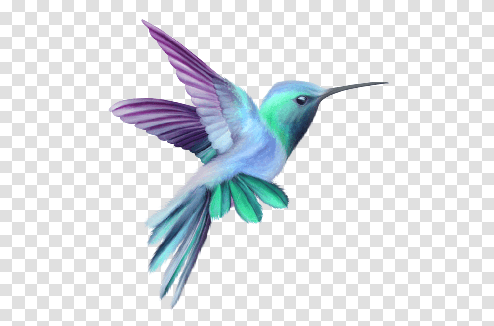 Hummingbird, Animals, Bee Eater, Flying, Jay Transparent Png