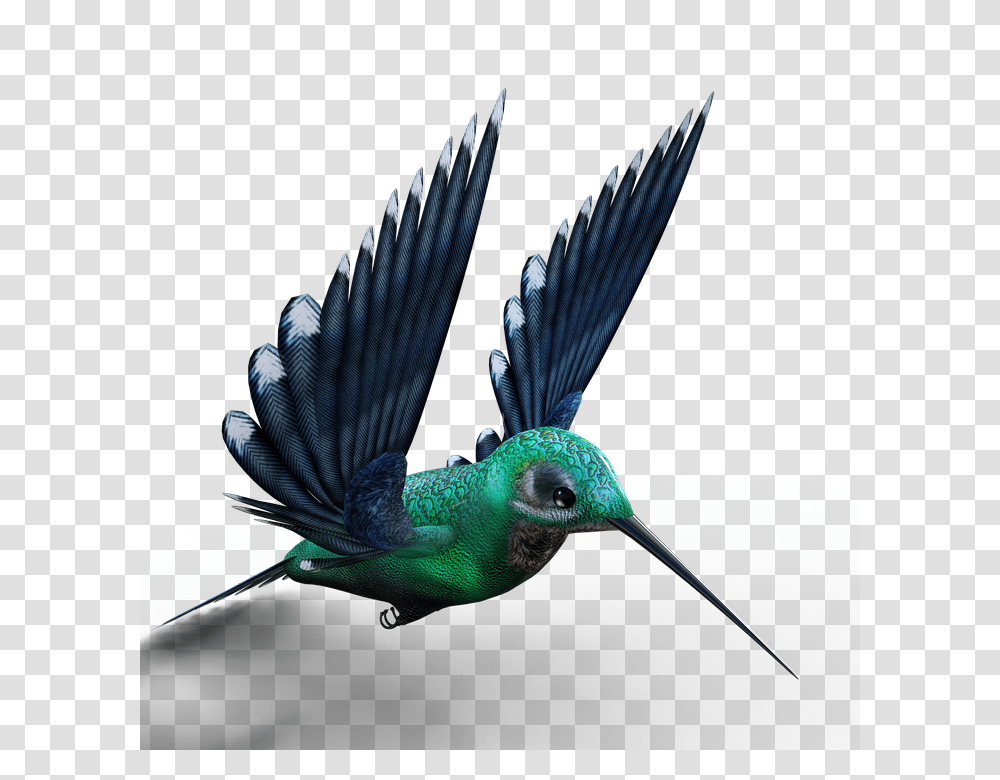 Hummingbird, Animals, Bee Eater Transparent Png