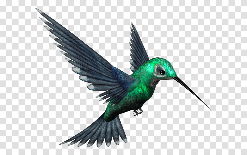 Hummingbird, Animals, Bee Eater Transparent Png