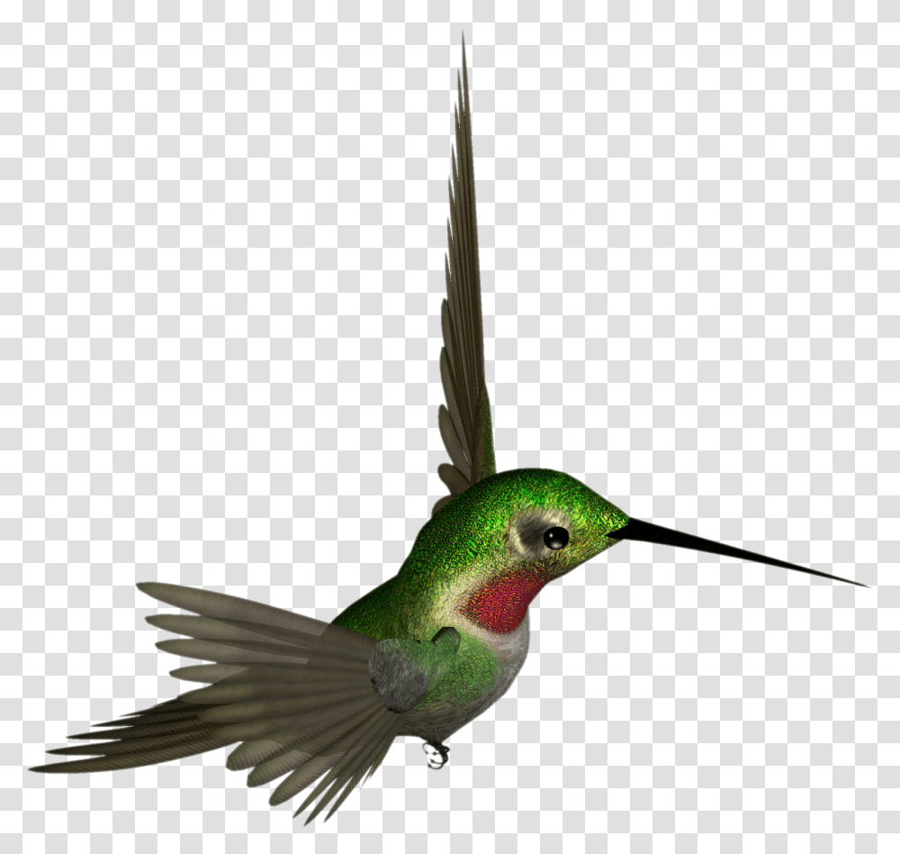 Hummingbird, Animals, Bee Eater Transparent Png