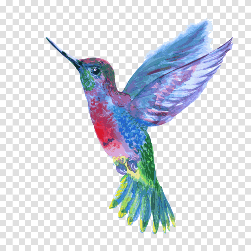 Hummingbird, Animals, Flying, Bee Eater Transparent Png