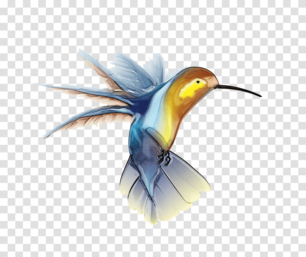 Hummingbird, Animals, Flying, Parrot, Bee Eater Transparent Png