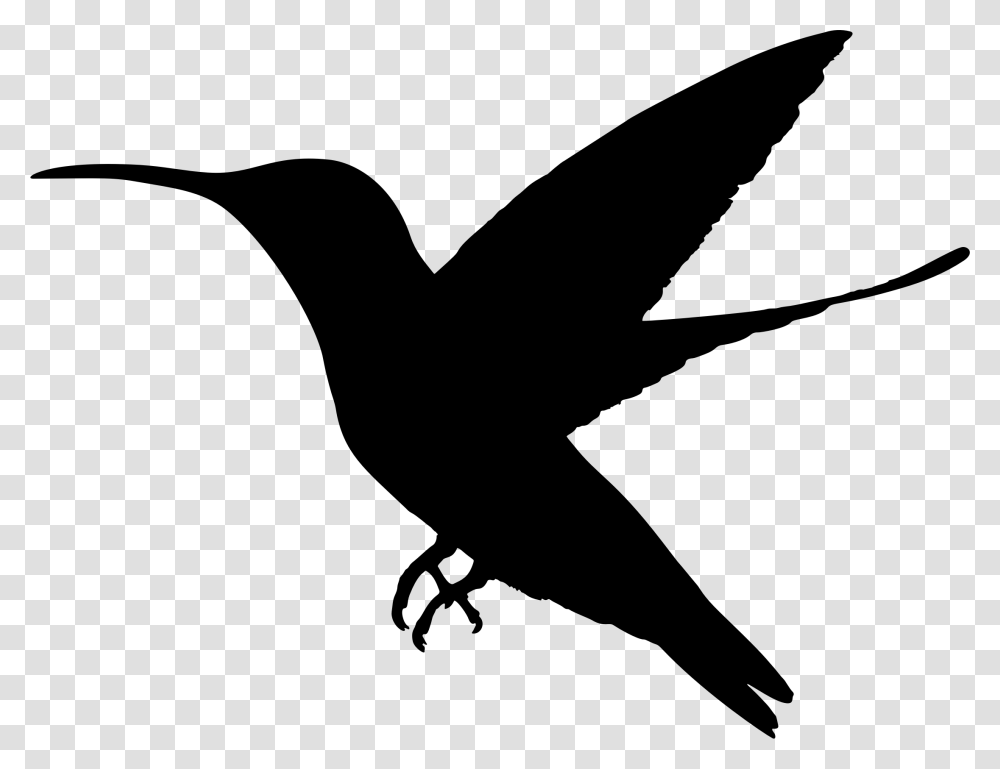 Hummingbird, Animals, Gray, World Of Warcraft Transparent Png