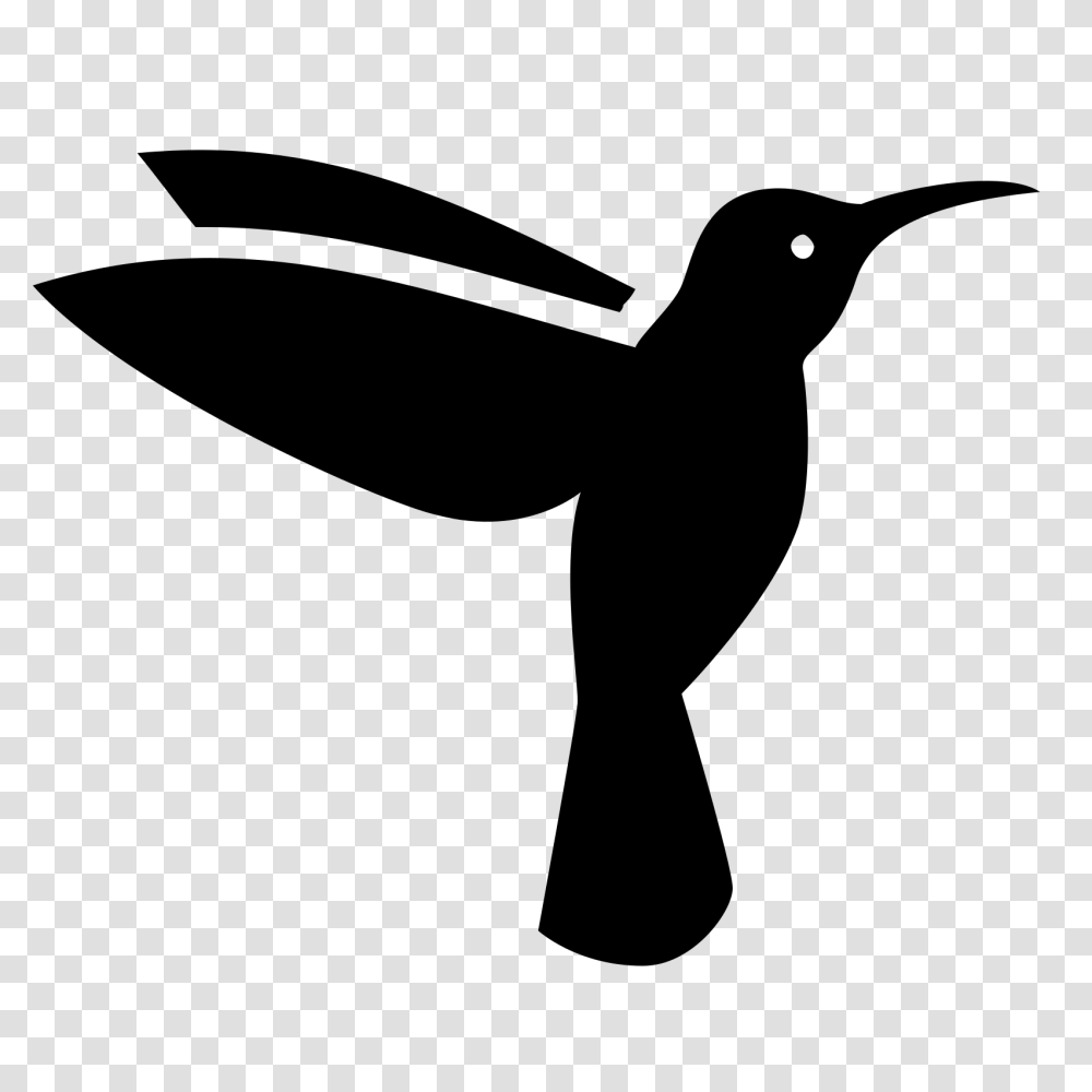 Hummingbird, Animals, Gray, World Of Warcraft Transparent Png