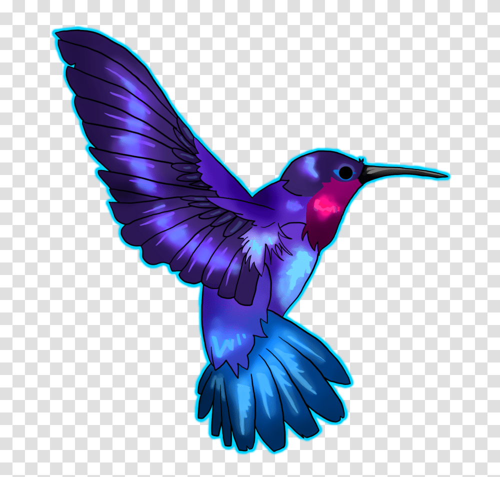 Hummingbird, Animals, Jay, Bluebird, Blue Jay Transparent Png