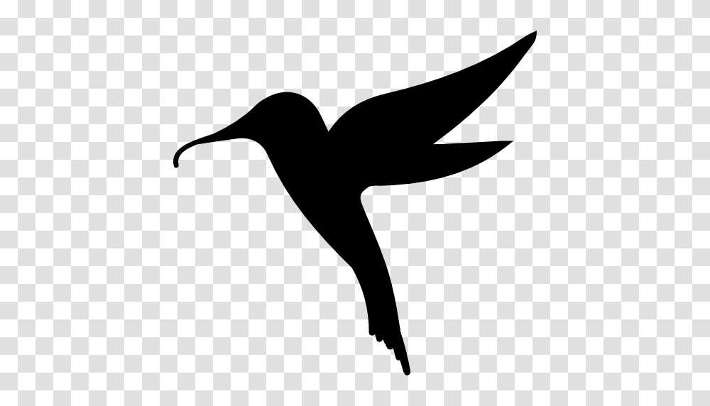 Hummingbird, Animals, Silhouette, Axe, Tool Transparent Png