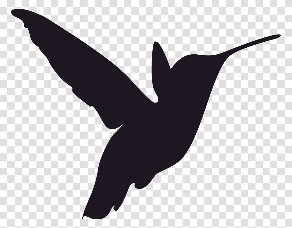Hummingbird, Animals, Silhouette, Flying, Blackbird Transparent Png