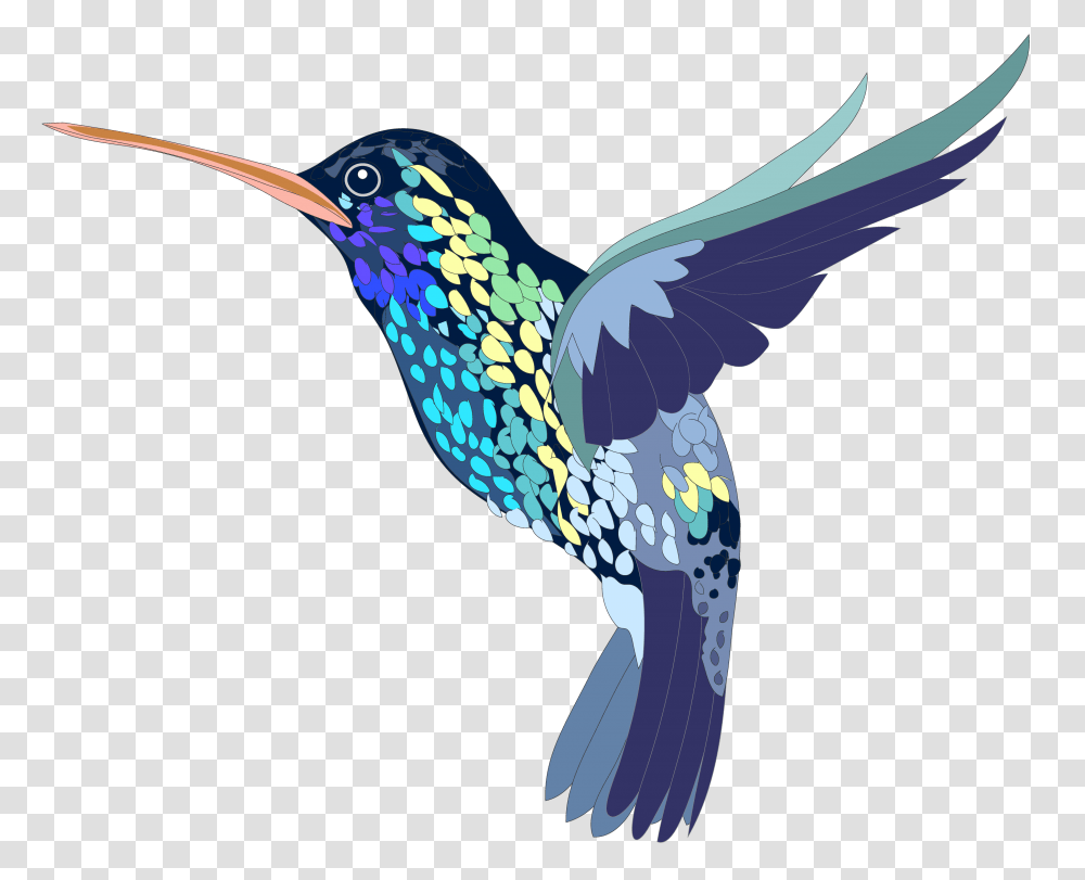 Hummingbird Art Background, Animal, Bee Eater Transparent Png