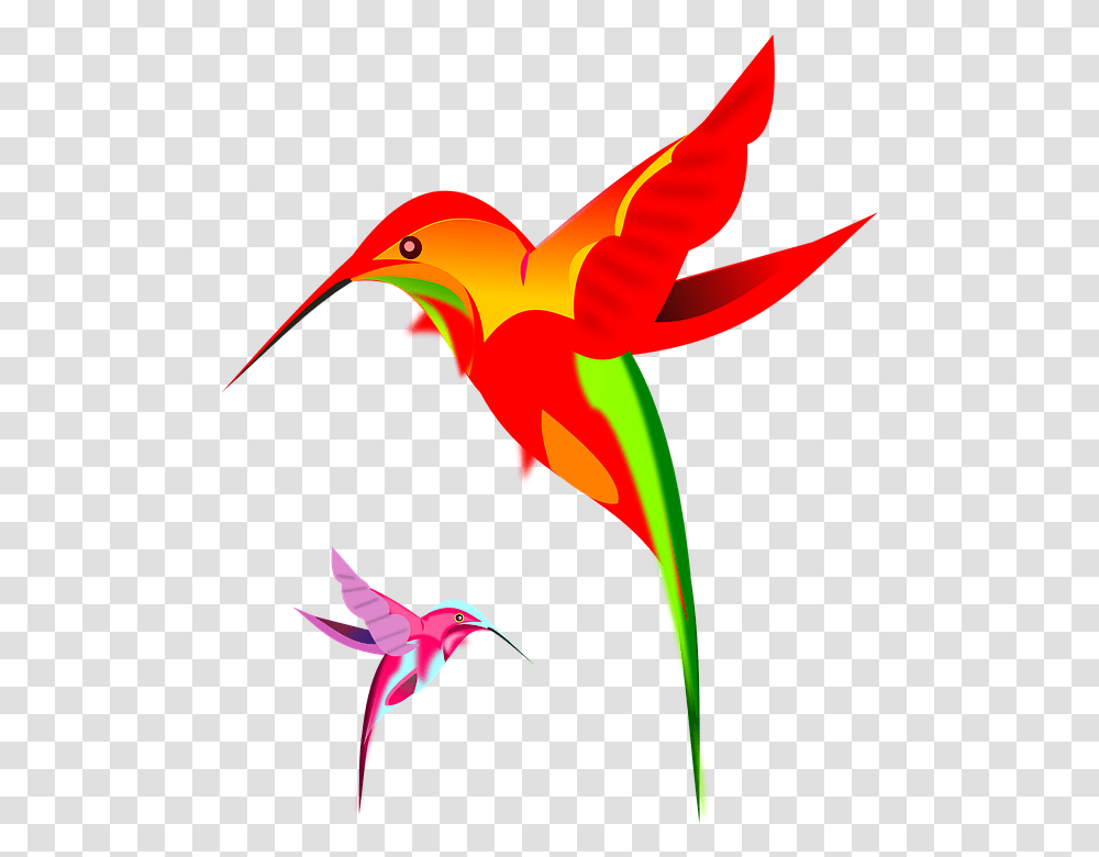 Hummingbird Art Clipart Humming Bird, Bee Eater, Animal, Flying, Jay Transparent Png