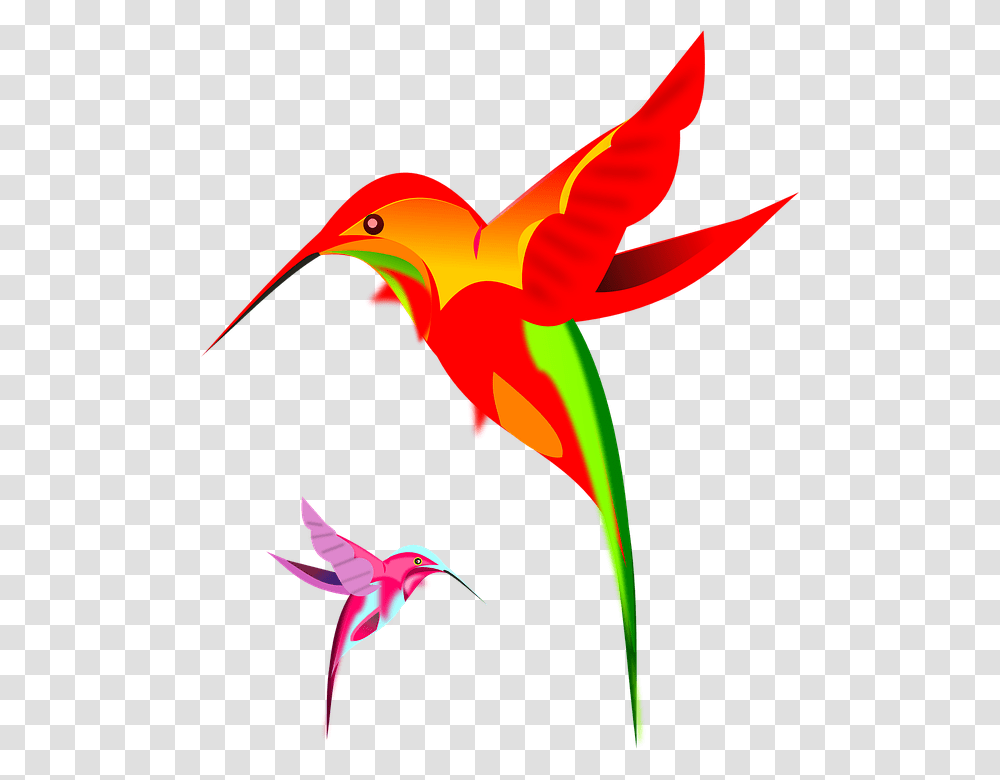 Hummingbird Art Clipart Rufous Hummingbird, Bee Eater, Animal, Flying, Jay Transparent Png