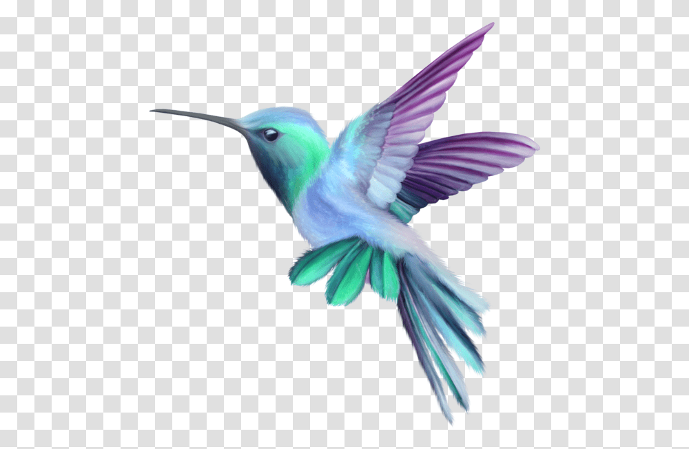 Hummingbird Art Image, Animal, Bee Eater Transparent Png